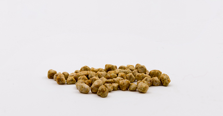 Πέτρες στη Χολή