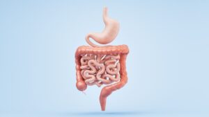 Πεπτικό σύστημα: από τι αποτελείται και πώς λειτουργεί; 14